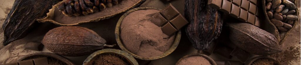 Vild Chokolade fra Amazon regnskoven